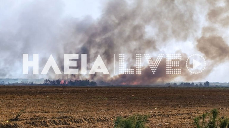 Σε εξέλιξη μεγάλη πυρκαγιά σε βάλτο στο Μπρινιά Μανωλάδας