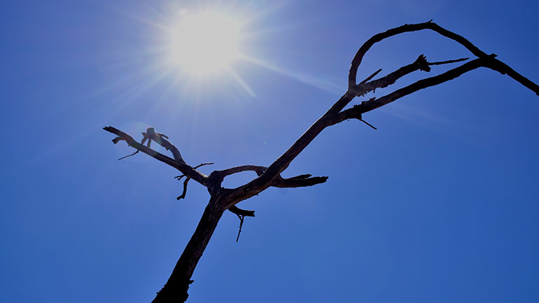 Αφρικανική σκόνη και άνοδος της θερμοκρασίας από σήμερα