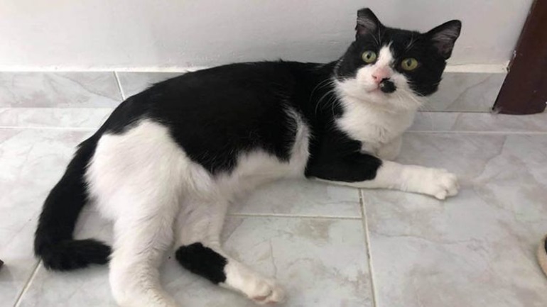 Βοηθήστε να του βρούμε σπίτι!