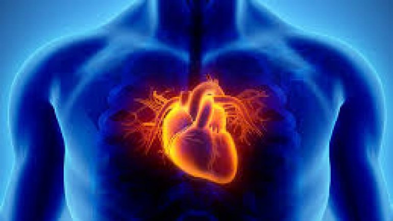 Νόσος στελέχους: Τι είναι και πώς αντιμετωπίζεται