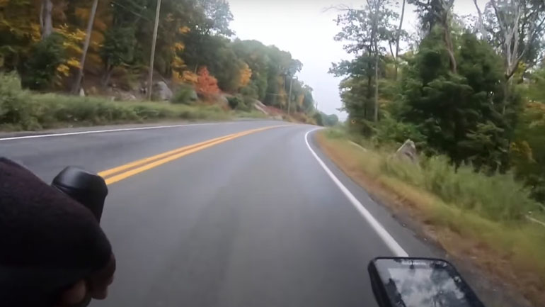 Ελάφι πετάχτηκε μπροστά σε ποδηλάτη