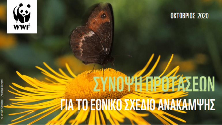 Η πρόταση του WWF για ένα πράσινο πακέτο ανάκαμψης που θα ανοίξει 125.000 νέες θέσεις εργασίας στην Ελλάδα