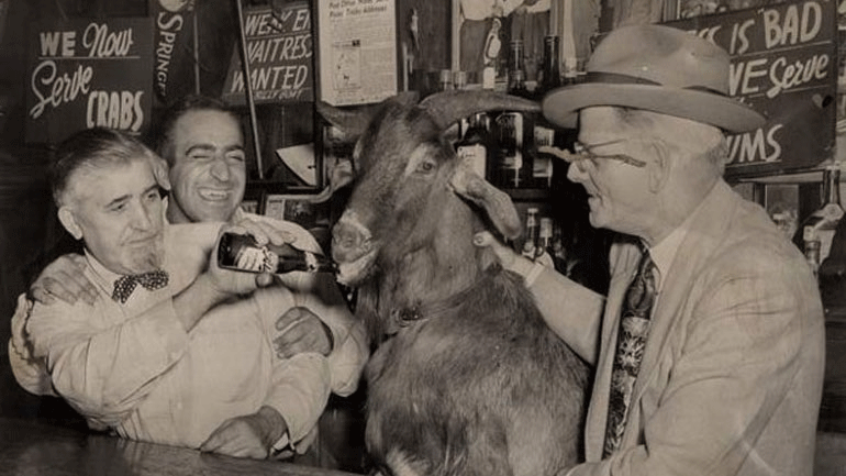 «Η κατάρα του τράγου»: Ο θρύλος με τον Έλληνα που «καταράστηκε» ομάδα στο Σικάγο