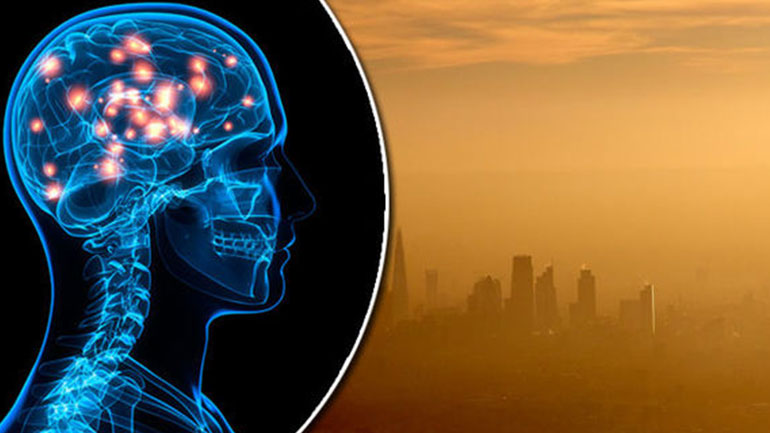 Σωματίδια ατμοσφαιρικής ρύπανσης σε εγκεφάλους νέων που συνδέονται με τη νόσο του Αλτσχάιμερ