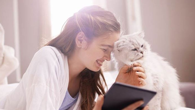 Πώς να φροντίσετε σωστά τη γάτα σας