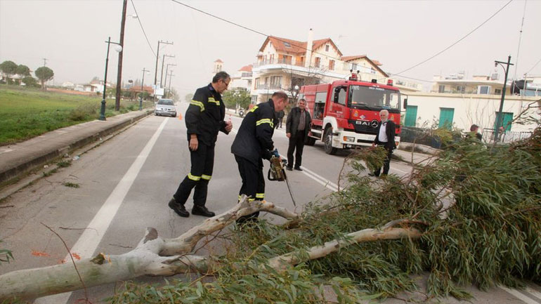 Πτώσεις δέντρων λόγω ισχυρών ανέμων στη Θεσσαλονίκη