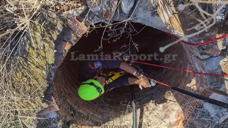 Αγριογούρουνο έπεσε σε πηγάδι – Το ανέσυρε η 7η ΕΜΑΚ