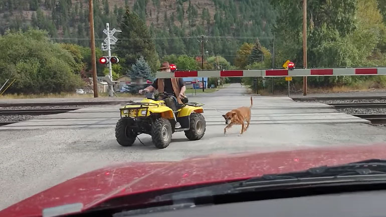 Άνδρας σε γουρούνα με τον σκύλο του εναντίον τρένου