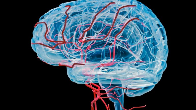 Το σωματικό βάρος έχει ανησυχητική επίδραση στη λειτουργία του εγκεφάλου