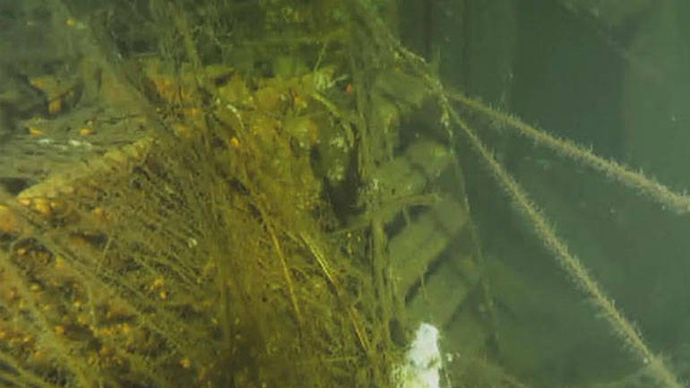 Εξουδετέρωσαν τη μεγαλύτερη βόμβα του Β’ Παγκοσμίου Πολέμου που έχει βρεθεί ποτέ