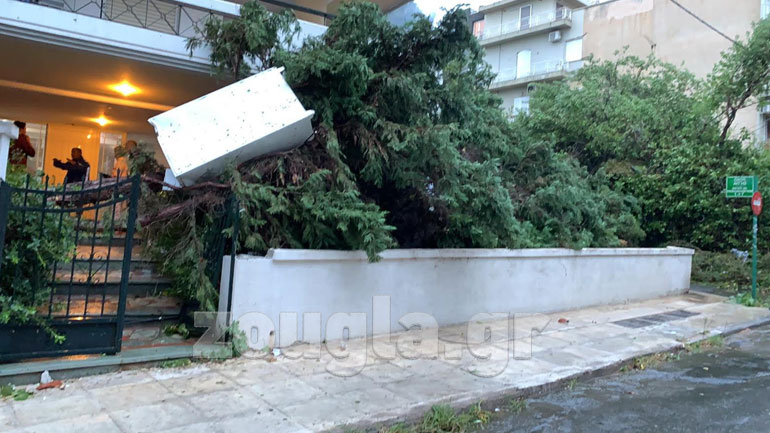 Πτώση δέντρου στην είσοδο πολυκατοικίας, προκάλεσε υλικές ζημιές