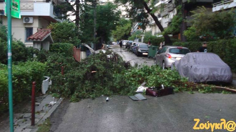Αττική: Πού έχει διακοπεί η κυκλοφορία των οχημάτων λόγω πτώσης δέντρων