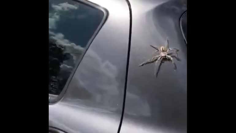 Το πρόβλημα επιλύθηκε γρήγορα