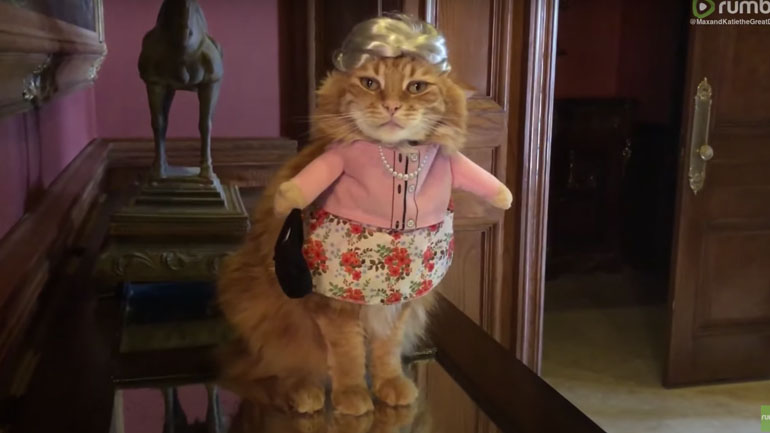 Εκθαμβωτική στη στολή της