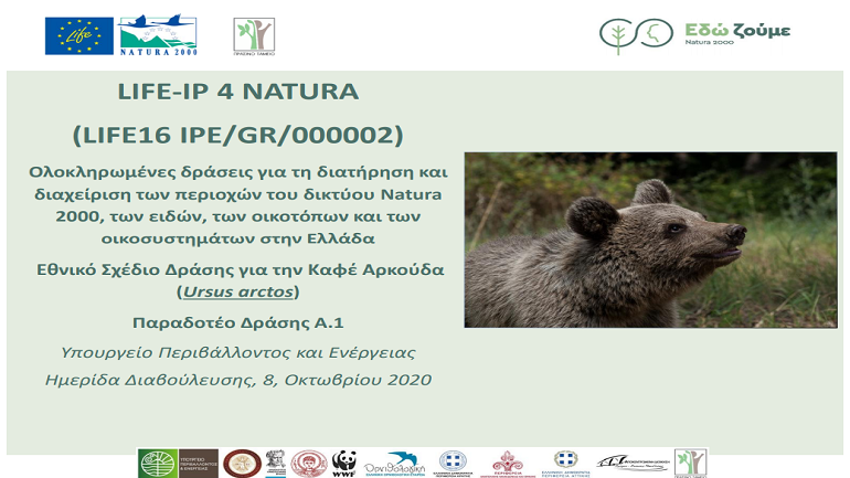 ΚΑΛΛΙΣΤΩ και ΑΡΚΤΟΥΡΟΣ με νέο Εθνικό Σχέδιο Δράσης για την προστασία της αρκούδας