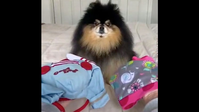 Τι θέλεις να ντυθείς στο Halloween;