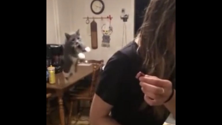 Το μεγάλο άλμα