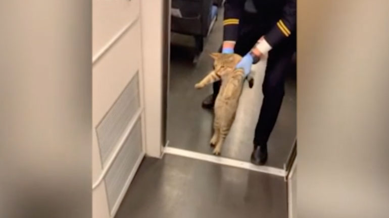 Παραβάτης στο τρένο