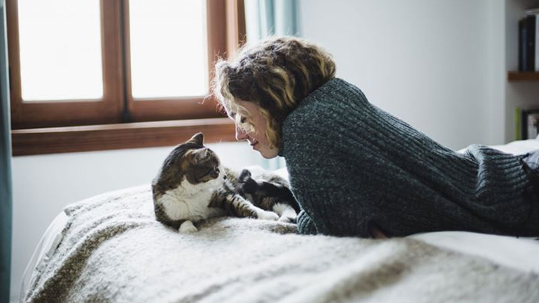 6 τρόποι που η γάτα μάς δείχνει την αγάπη της