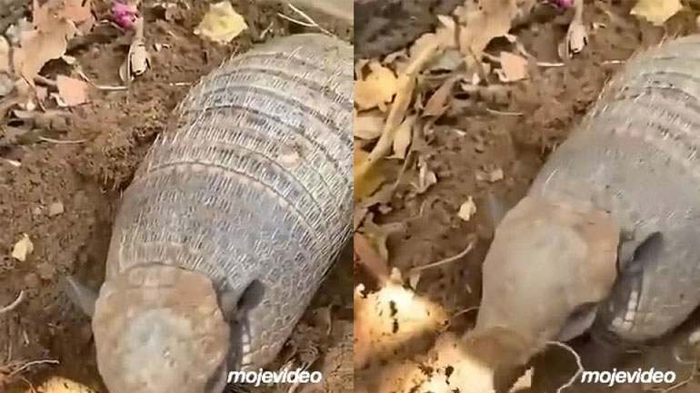 Όταν ξημερώνει η Δευτέρα και πρέπει να πας στη δουλειά