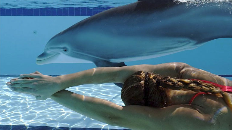 Τα δελφίνια ρομπότ