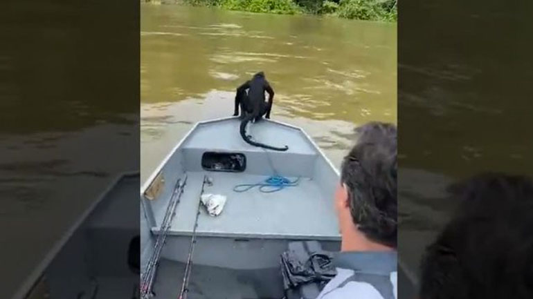 Ψαράδες βοηθούν μια μαϊμού