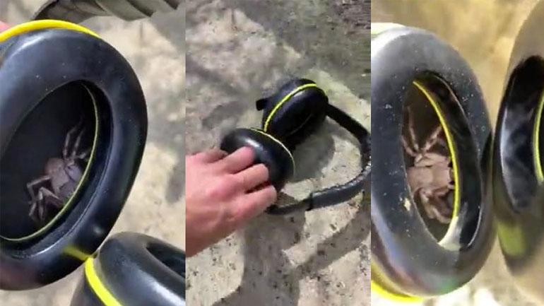 Όταν ξεχνάς τα ακουστικά στον κήπο και ζεις στην Αυστραλία