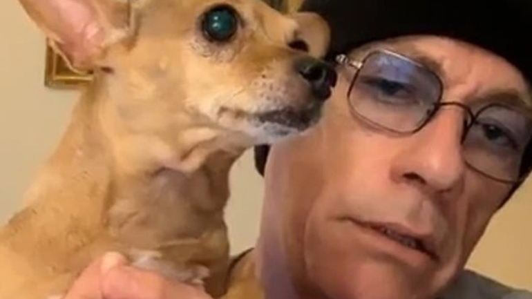 Ο Ζαν Κλοντ Βαν Νταμ διέσωσε από βέβαιο θάνατο μικρό τσιουάουα