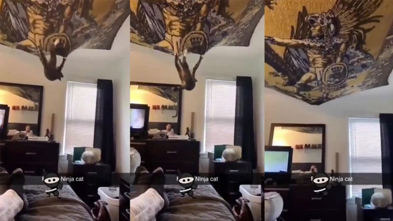 O νίντζα γάτος