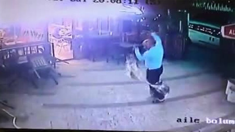 Μια εξαιρετικά επιθετική γάτα