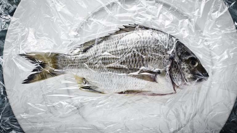 Ποια ψάρια δεν πρέπει να τρώτε