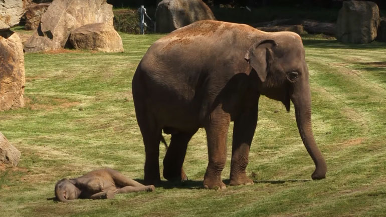 Ο ύπνος του δικαίου