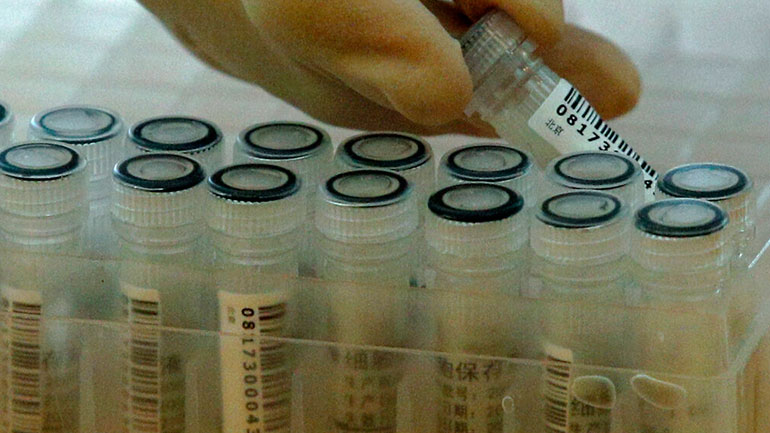 Ηράκλειο: Έδεσε στο λιμάνι κρουαζιερόπλοιο λόγω θετικού κρούσματος στο πλήρωμα