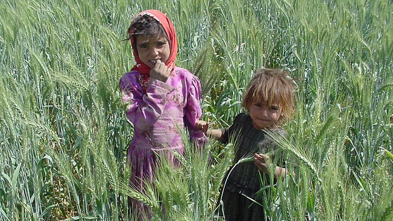 ΟΗΕ: Σε πρωτόγνωρα επίπεδα έχει φτάσει ο υποσιτισμός των παιδιών σε περιοχές της Υεμένης