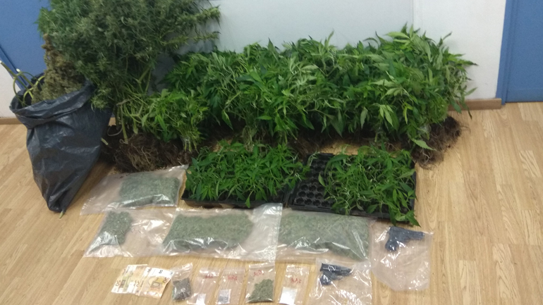 Συνελήφθη 52χρονος για καλλιέργεια υδροπωνικής κάνναβης στο Περιστέρι Συνελήφθη 52χρονος για καλλιέργεια υδροπωνικής κάνναβης στο Περιστέρι