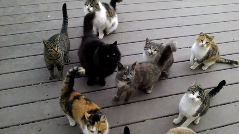 Η επόμενη ημέρα