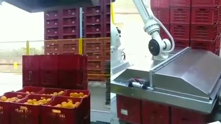 Ρομπότ μανάβης