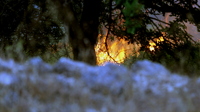 Σάμος: Φωτιά κοντά στο κέντρο υποδοχής μεταναστών-προσφύγων
