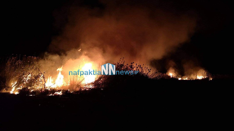 Ναύπακτος: Μεγάλη πυρκαγιά στην περιοχή του Πούντου