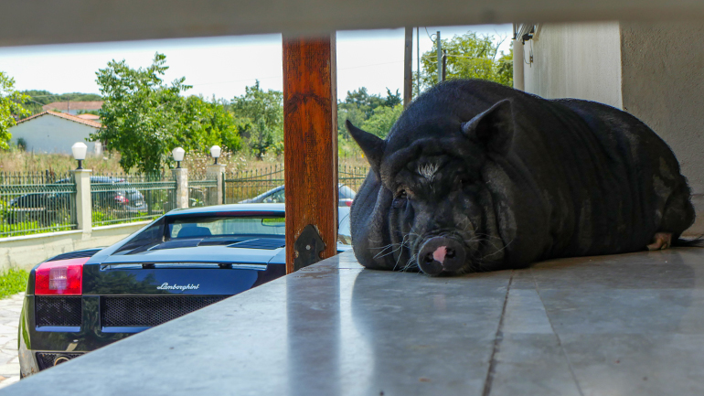 Τώρα με το mini lockdown λόγω Covid-19 έχουμε να ρίξουμε πολλές... ξάπλες αλλά και να σκεφτούμε την επόμενη μέρα καλύτερα! 