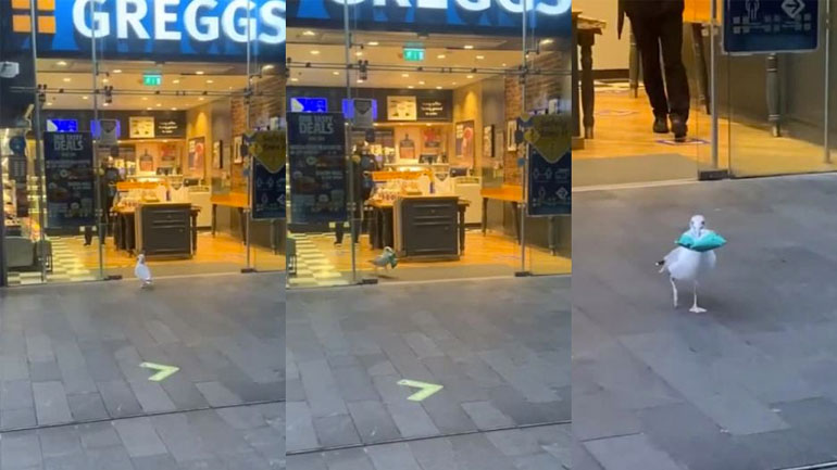 Ο κλέφτης του αρτοποιείου