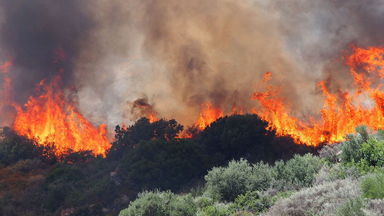 WWF: Η καταστολή δασικών πυρκαγιών, σε σχέση με την πρόληψη, έχει ένα τεράστιο οικονομικό κόστος