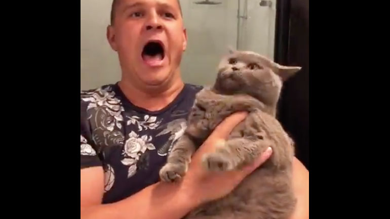 Μια γάτα μαθαίνει το κρυφό ταλέντο του ιδιοκτήτη της