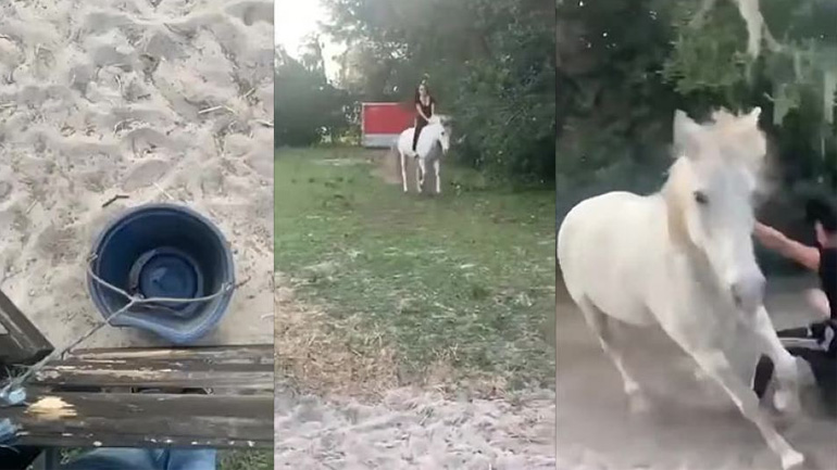 Όταν είναι η ώρα του φαγητού