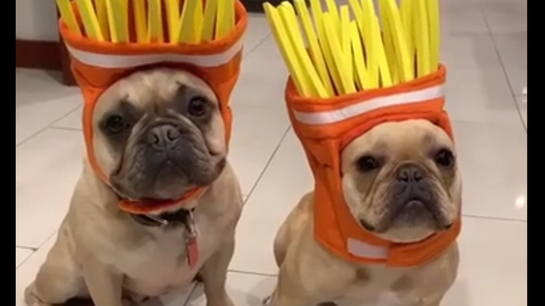 Kοστούμι «πατάτες τηγανητές»