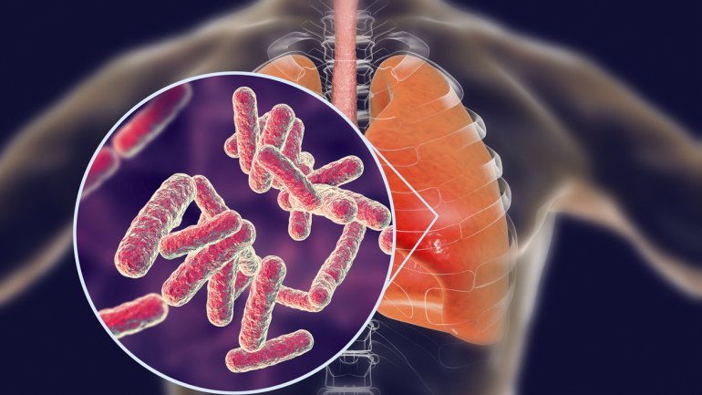 12 Νοεμβρίου 2020: Παγκόσμια Ημέρα Πνευμονίας