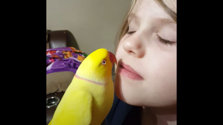 Ο παπαγάλος που μοιράζει φιλάκια