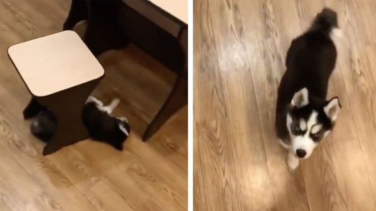 Γνωρίζει πολύ καλά τον ήχο