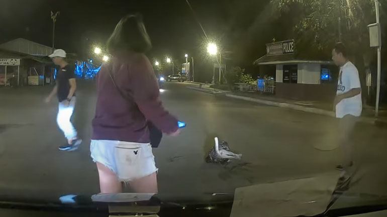 Μια γάτα δέχεται επίθεση από έναν πύθωνα