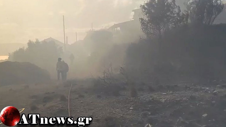 Υπο πλήρη έλεγχο η πυρκαγιά στους Αγίους Θεοδώρους